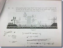 Angry Birds exam