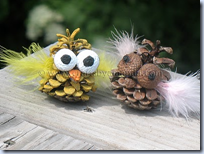 pinecone owls