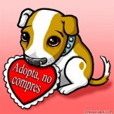 Adopta, no compres