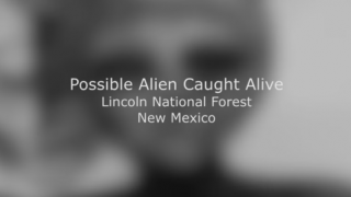 生け捕りにされたエイリアンが凄く可哀相な件＜動画像＞ＵＦＯ墜落 米ニューメキシコに