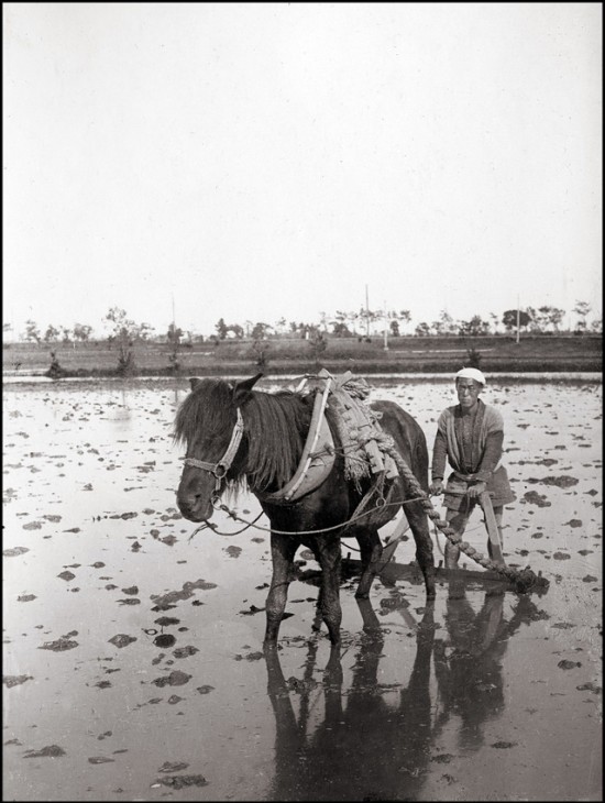 yokohama-in-the-late-1900s-36