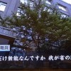 【加計】流出新文書 文科省女性官僚がその場に同席すらせず妄想でメモ作ってたｗｗｗｗｗｗ