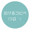 【涙腺崩壊】切なくて泣けるコピペ