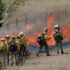 【映像公開】アメリカ山火事の原因は赤ちゃんの性別お披露目パーティー