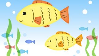 【悲報】魚の世界に存在する『イジメ』の様子をご覧ください……