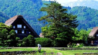 【1人旅】日本の原風景の写真