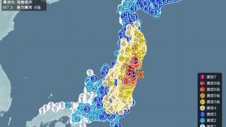 【画像】地震でアダルトショップが崩壊