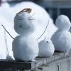 彡(^)(^)「玄関先にお湯撒いて雪溶かしといたろ！ｗ」