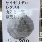 【悲報】サイゼリヤさん、混乱に乗じてとんでもないレタスを販売してしまう…ｗ