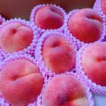 【Berryz工房】【速報】清水佐紀さん、桃の皮を剥いて丸かじりのお知らせ「果汁が凄い(笑)」