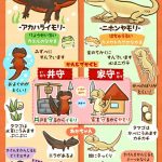 【ネタ】【画像】イモリとイモリの違いが分からん奴はこれを見よ