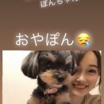 【宮本佳林】宮本佳林ちゃんさんの飼い犬モッツァレラwwwwwwwwwwwwwwwwwwwwwwwwwwwwwwwwwwww