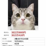 【バカネタ】猫さん、年収3600万円稼いでしまうｗｗｗ