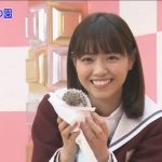 【柴田柚菜】ハリネズミを持ったと🦔