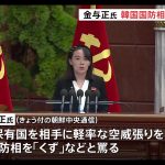 【韓国・北朝鮮】【悲報】金正恩の妹「韓国はゴミ。ホラ吹き。歴史修正主義者」  [781534374]