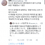 【期限】【悲報】韓国人への差別発言で炎上したにじさんじVtuberのローレン・イロアスさん、無事国際問題へ発展