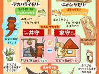 【ネタ】【画像】イモリとイモリの違いが分からん奴はこれを見よ