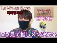 【IZ*ONE】【悲報】欅坂46からIZ*ONEに乗り換えた裏切り者ユーチューバーさん現る