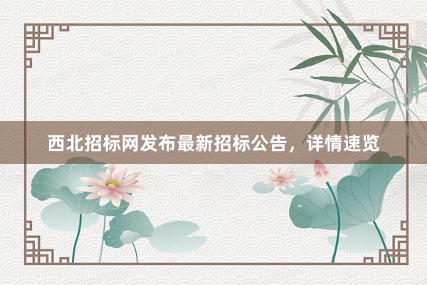 西北招标网发布最新招标公告，详情速览