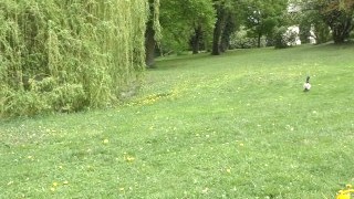 Belles nanas, Gros seins, Blond, MILF, Public