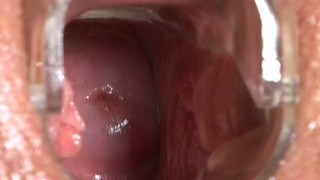 Banho, De perto, Flexível, Inserção, Depilando