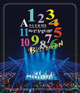 アンジュルム：アンジュルム コンサートツアー 2023秋 11人のアンジュルム ～ BEST ELEVEN ～