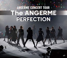 アンジュルム：アンジュルム CONCERT TOUR -The ANGERME- PERFECTION