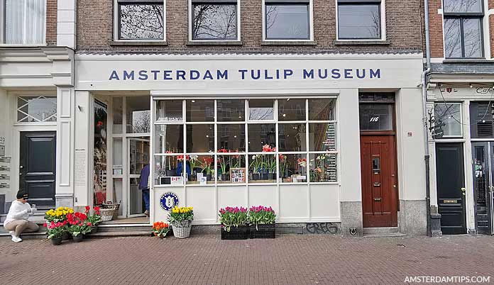 amsterdam tulip museum