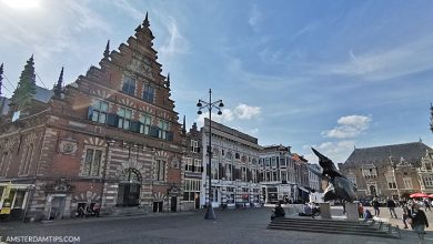 haarlem