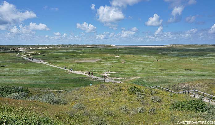 de slufter texel