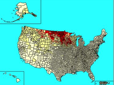 ノルウェーのアメリカ入植 (10)