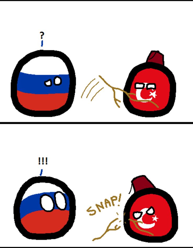 ロシアが木の棒持ってるよ (6)