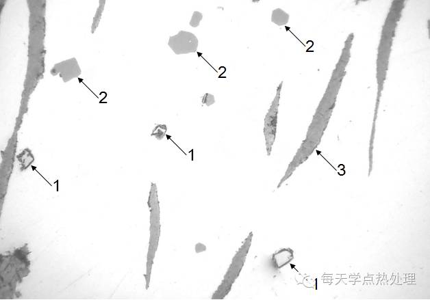 钢管钢铁中的非金属夹杂物的形态(图10)