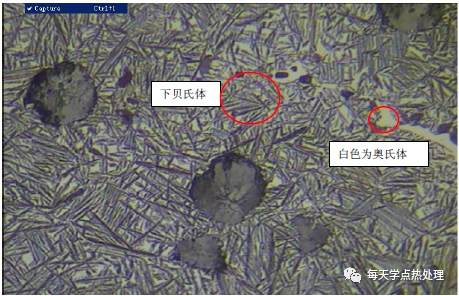 A 型+蠕虫状+球状石墨 100×