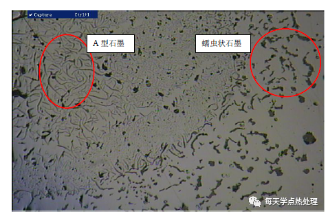 25个铸铁常见组织及其金相图16个流线，带状，裂纹等的组织形态(图23)