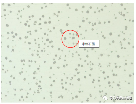 12CrMo4 冷挤压 芯部铁素体呈方向分布 50×