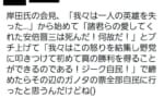 ガノタ「ギレンの演説してたら自民に票入っただろうなぁ（ﾆﾁｬｧ」