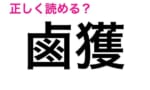 「鹵獲」←ガノタだったらこれぐらい当然読めるよな？