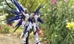 【ガンダム 種死】花を吹き飛ばしにきたように見える写真ｗｗｗｗｗｗｗｗｗｗｗｗｗｗｗｗ