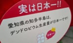 【朗報】ガンダムのアナハイム社、愛知県に存在していたｗｗｗｗ