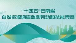 2024年度云南省自然资源调查监测劳动和技能竞赛