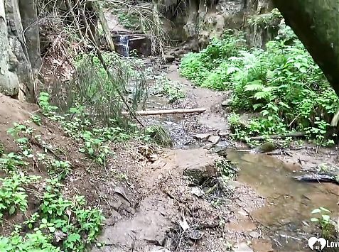 Girlfriend gets a facial in the woods