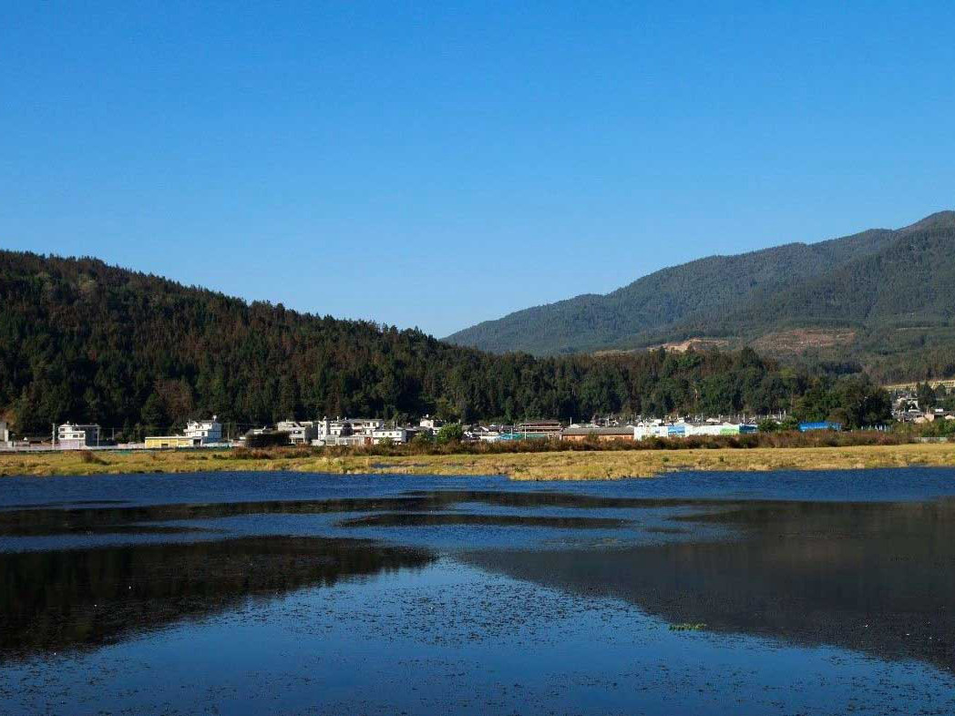 Feel the vibe of Beihai wetland in SW China