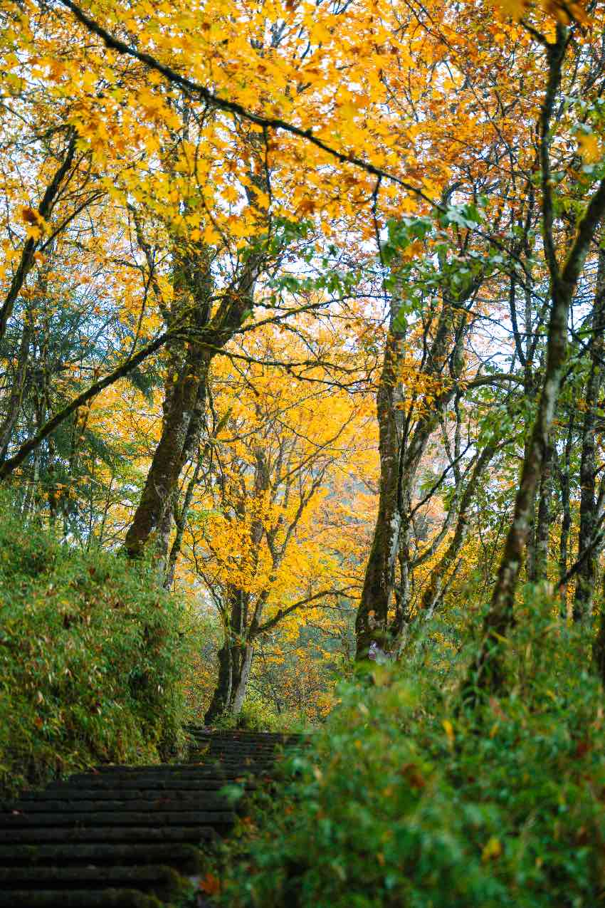 A perfect autumn scene in SW China's Sichuan