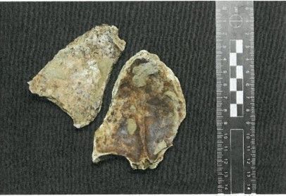 9,000-10,000-year-old bone fragments discovered in Okinawa thought to be missing link between Paleolithic and Kaizuka-era humans