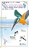 新・水辺の鳥―野鳥観察ハンディ図鑑