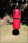 Angry-ram-vs-punching-bag