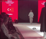 Catwalk-cat-vs-fashion-models