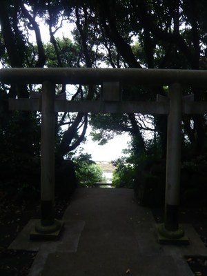 TORII.jpg