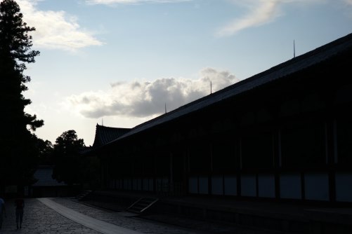 TOUDAIJI-LEICA4.jpg